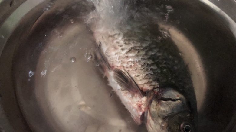 白菜豆腐汤,把<a style='color:red;display:inline-block;' href='/shicai/ 377'>鲫鱼</a>洗洗清理干净内脏