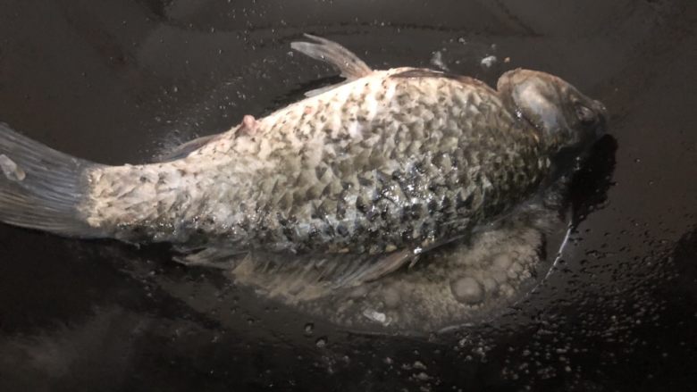 白菜豆腐汤,下鱼煎至两面微黄