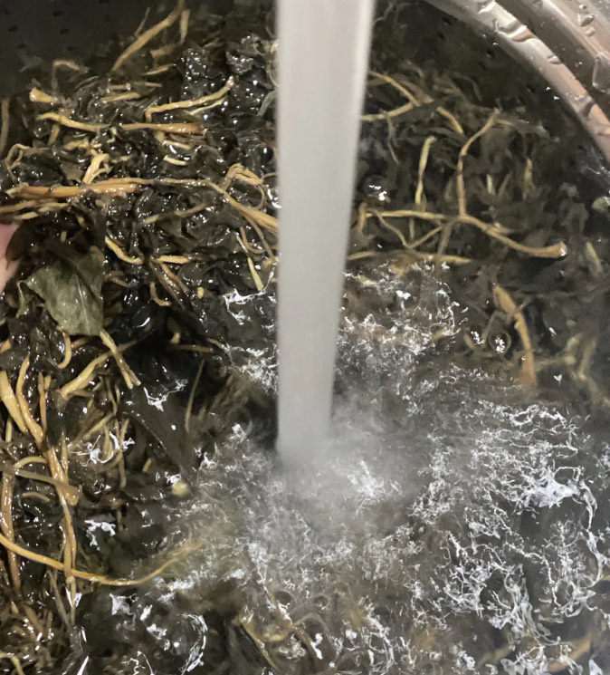 梅干菜肉包,将梅干菜用水泡上,凉水就可以啦,大概泡20分钟左右。然后把葱姜也用一个碗泡上。