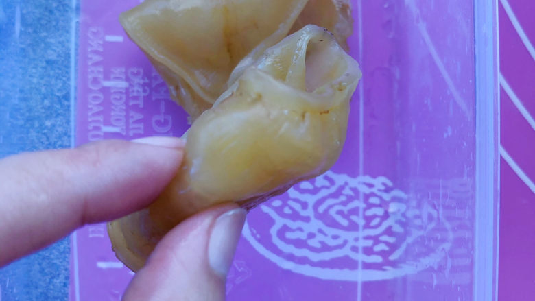 花胶的泡发,蒸好的花胶收缩卷曲,捏起来已经是有点粘手了,胶原蛋白啊都是。