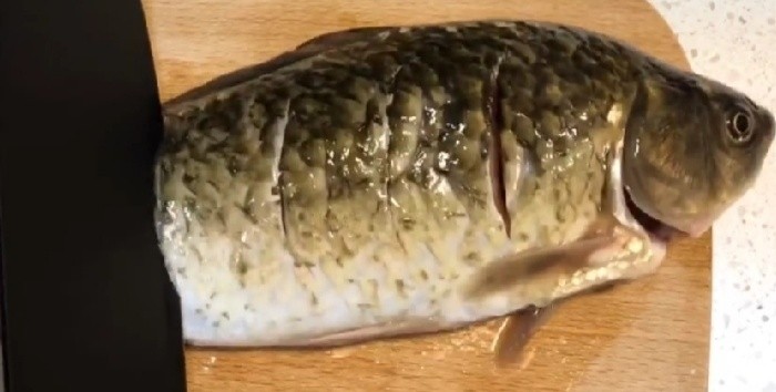 红烧鱼,把洗干净的鲫鱼两面划几刀,鱼一定要两面都划几刀哦,这样鱼比较入味鱼肉更鲜美