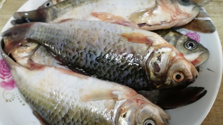 鱼罐头,鲫鱼去鳃,去鳞,去内脏,清水冲洗把鱼肚里面的黑膜洗掉,控水。