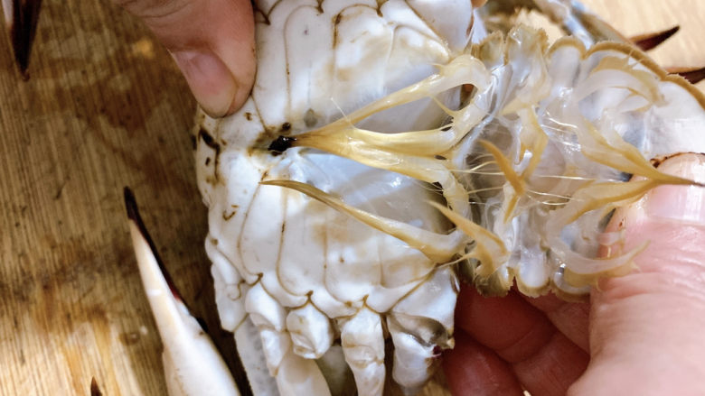咖喱梭子蟹,将梭子蟹洗净,从尾部剥开,并掀起蟹壳。