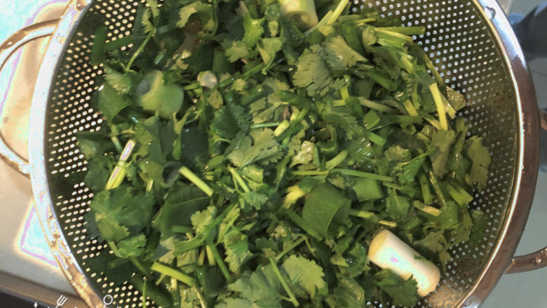 乱炖一锅,大葱,蒜苗,香菜切碎备用