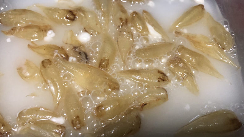 牛奶炖花胶,倒入矿泉水,搅拌让面粉溶解。