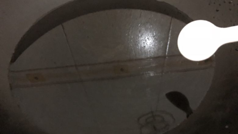 白菜包肉,锅里加适量水下点盐和油(加盐油除了口感好点之外,还可以保持白菜的颜值)