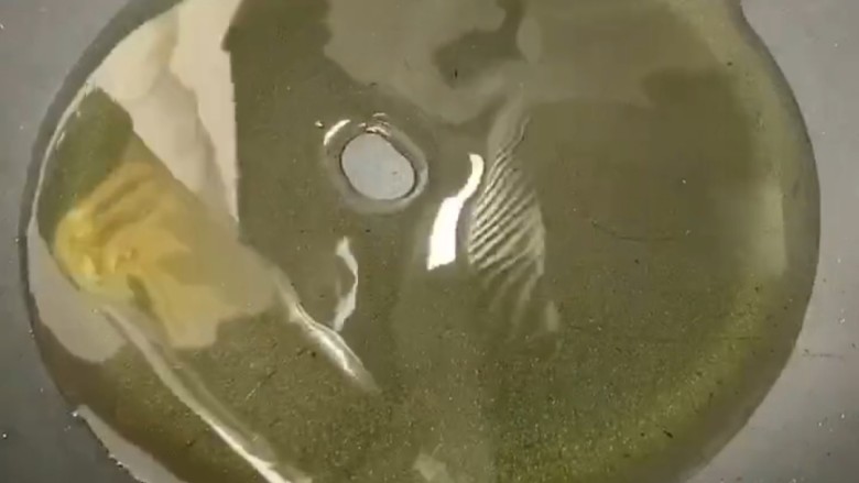 红烧羊蝎子,然后热锅烧油,油温达到一定温度时即可下入需要爆香的食材