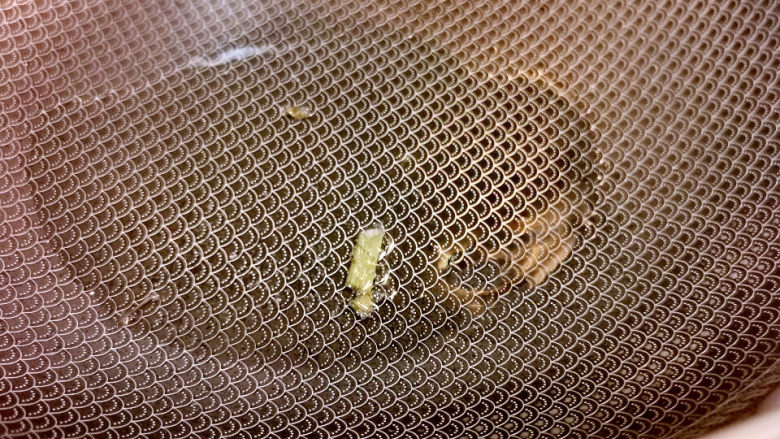 南瓜蒸排骨,丢下葱,葱变色,温度就够了