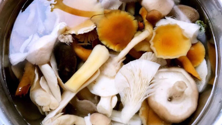 蘑菇炒肉,焯好水的杂蘑立即放入冷水中过凉