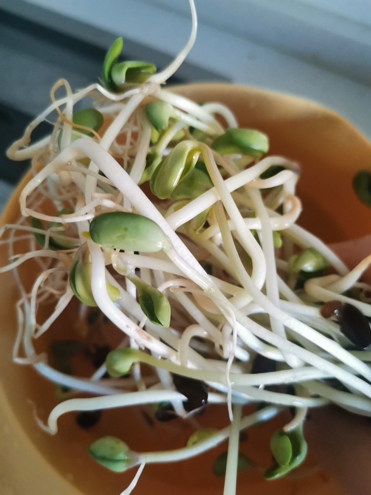 豆腐炖藕片,长豆芽洗干净