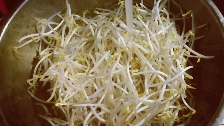豆芽炒粉丝,绿豆芽去根,清洗干净。