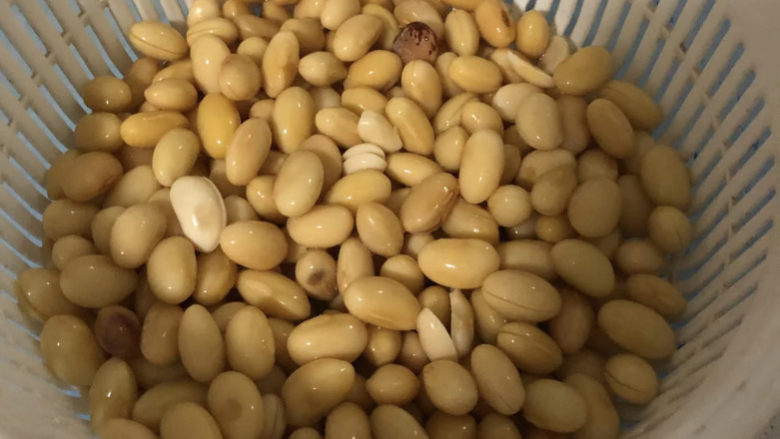 黄豆炖猪皮,黄豆泡好以后捞出来沥水,把不好的黄豆捡出来扔掉,剩下的装盘备用。
