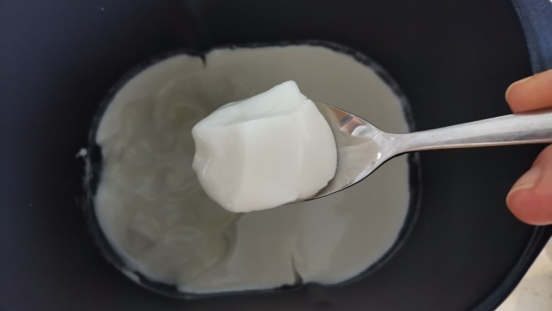 手工酸奶,第二天早上,已经发酵好的酸奶,个人喜欢稠点的酸奶