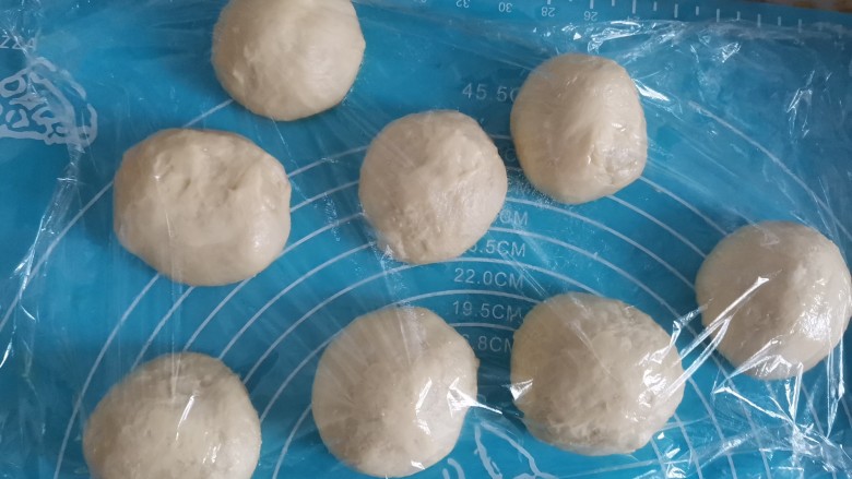 酸奶蔓越莓排包,取出来按压排气,不要揉,会把已经形成的面筋揉断,分成8等份,都由上向下揉圆