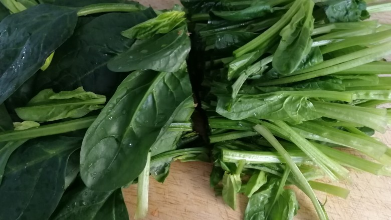 炒合菜,嫩菠菜洗干净,切段。