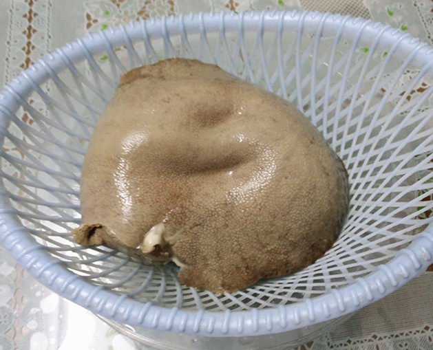 白切猪肝,3、将焯水后的猪肝,再次浸泡半小时,泡去多余血水后沥干水分
