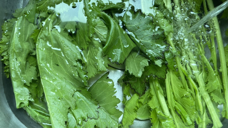 清炒雪里蕻,放入水中清洗干净,加入少许盐浸泡片刻