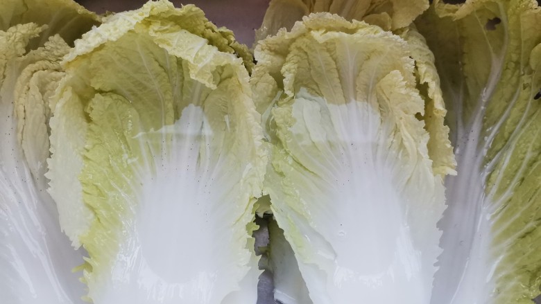 腊肉炒白菜,<a style='color:red;display:inline-block;' href='/shicai/ 114'>白菜</a>掰开清洗干净
