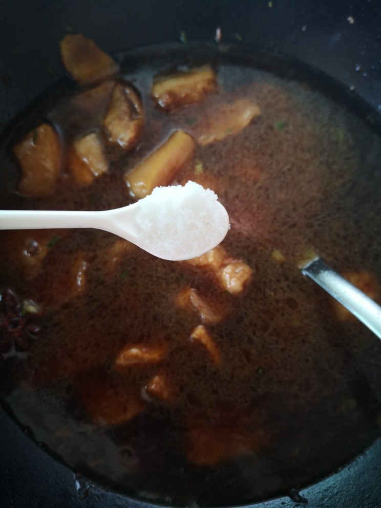 腐竹红烧肉,放入适量清水,没过肉就好,调入少许盐
