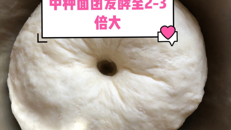一次就可以成功的面包🍞,中种面团发酵至2到3倍大,大约两三个小时