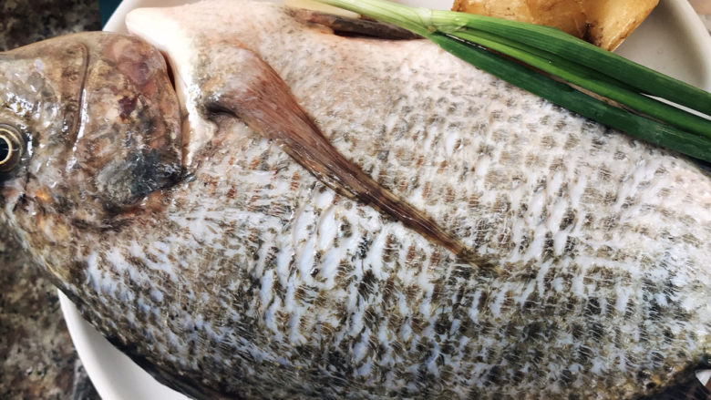 红烧罗非鱼,准备所有食材:鱼,姜,葱,蒜