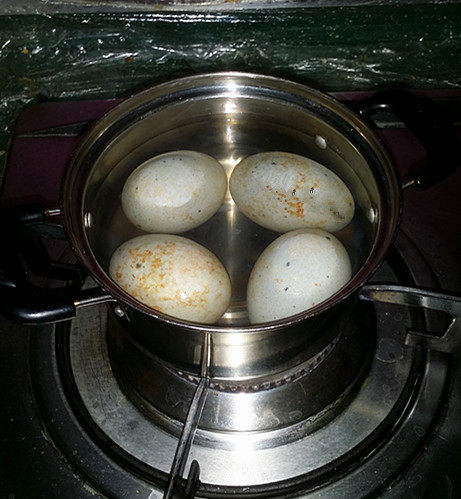 尖椒皮蛋,<a style='color:red;display:inline-block;' href='/shicai/ 14'>皮蛋</a>提前用冷水,中小火煮开,这样蛋黄不散好切