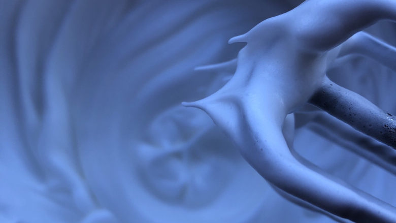 蜜豆戚风,打发至有直立的小尖角。