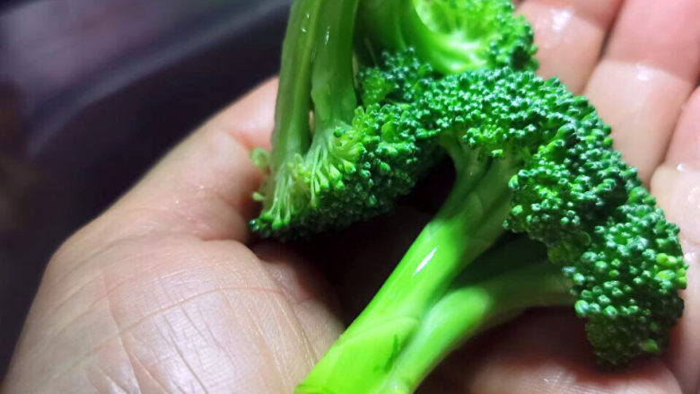 蒜蓉西兰花,大约一个小时,西兰花就复活过来