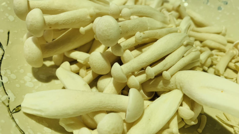 白玉菇豆腐汤,去除根部,待用