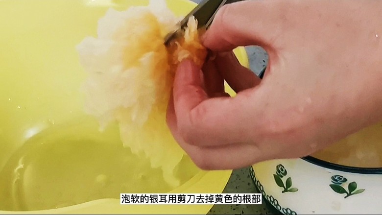 木瓜炖牛奶,泡软的银耳去除黄色根部