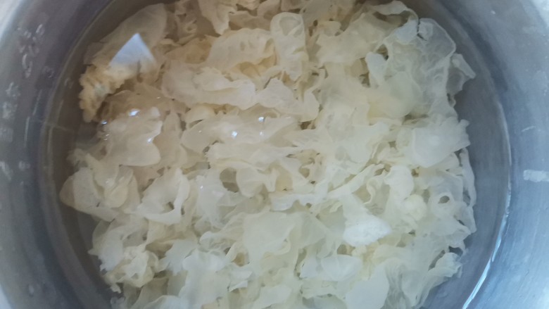 木瓜炖牛奶,小锅中加入入银耳,加入适量的水