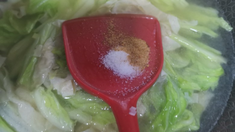 白菜粉丝汤,加入适量的盐,<a style='color:red;display:inline-block;' href='/shicai/ 744'>五香粉</a>