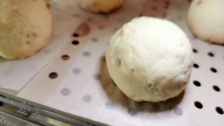 荞麦馒头,发至两倍大后,移入蒸箱