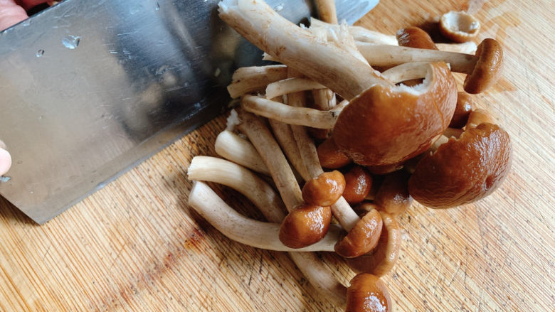 干锅茶树菇,将鲜的茶树菇洗净,切段~