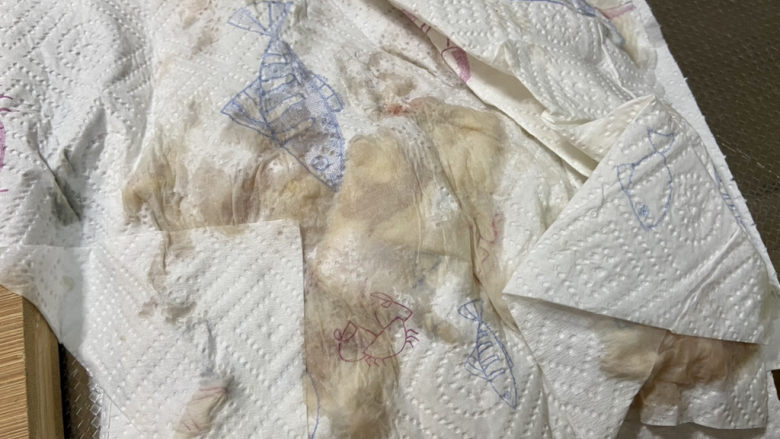 啤酒鸡翅根,取出鸡翅,检出葱姜,用厨房纸巾吸干水分