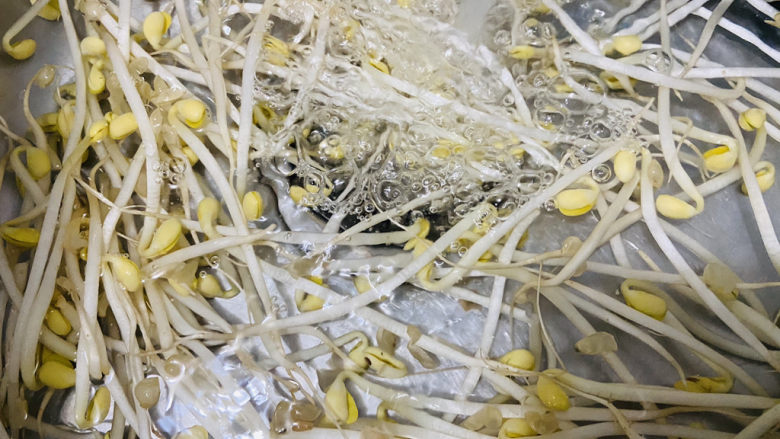 爆炒黄豆芽,黄豆芽清洗干净,摘取根部