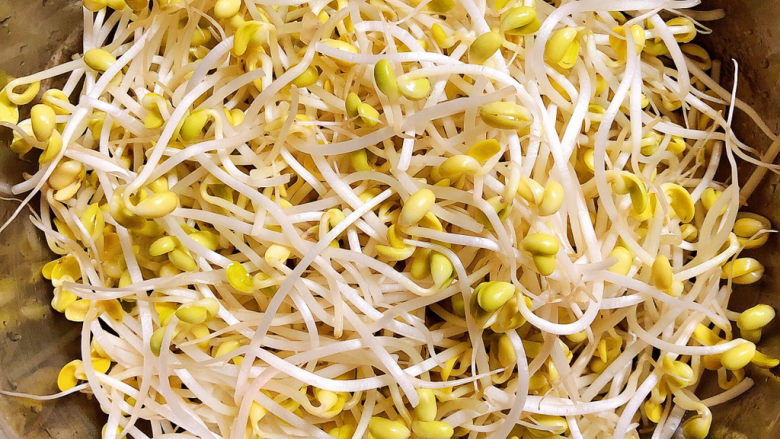 爆炒黄豆芽,准备好<a style='color:red;display:inline-block;' href='/shicai/ 2692'>黄豆芽</a>,洗净待用。