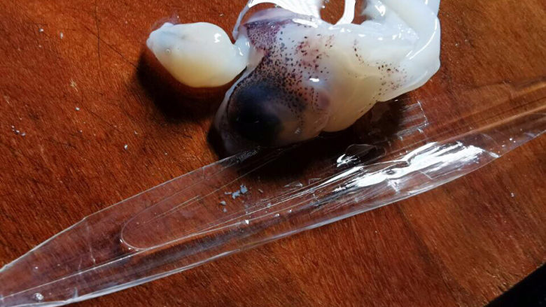 三鲜豆腐,眼睛与牙齿,软骨为不可食用