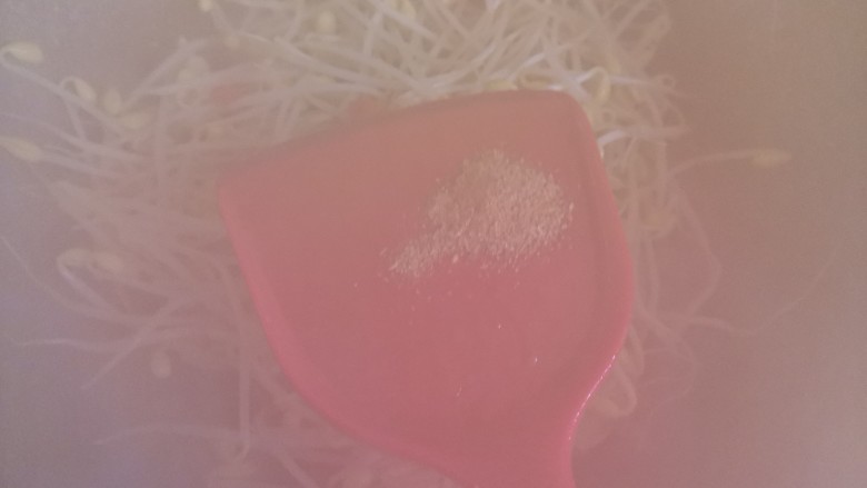 爆炒黄豆芽,加入适量的盐,<a style='color:red;display:inline-block;' href='/shicai/ 744'>五香粉</a>翻炒均匀