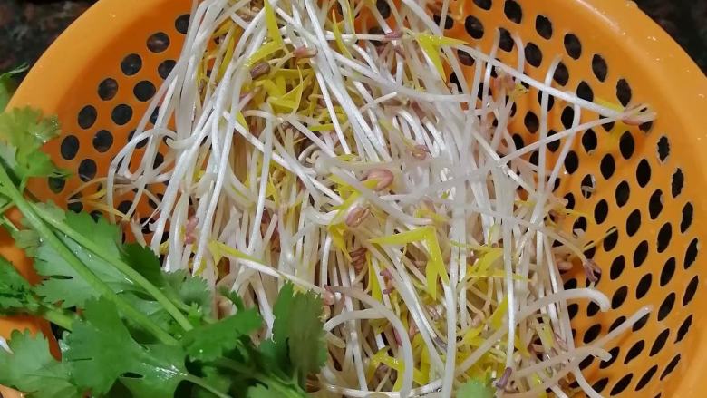 绿豆芽菜炒米粉,洗净芽菜和<a style='color:red;display:inline-block;' href='/shicai/ 131'>香菜</a>