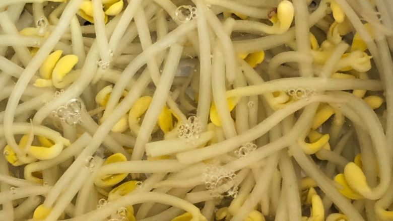 黄豆芽拌海带,过凉水