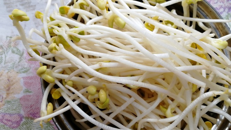 黄豆芽拌海带,黄豆芽摘去坏豆,清水洗干净。