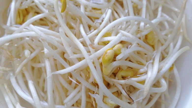 黄豆芽拌海带,将黄豆芽泡水清洗干净