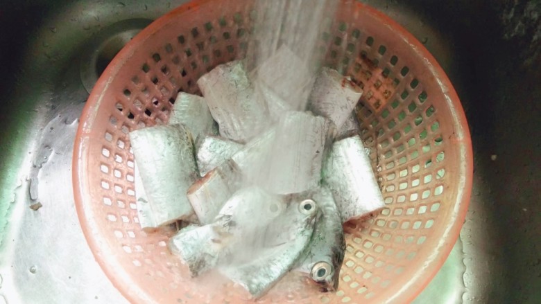 清蒸带鱼,带鱼洗净捞出沥干水份,(带鱼买后让鱼家处理好)