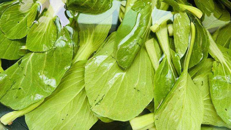 清炒油菜,<a style='color:red;display:inline-block;' href='/shicai/ 115'>油菜</a>清洗干净放入水中浸泡片刻,再捞出沥干水分备用