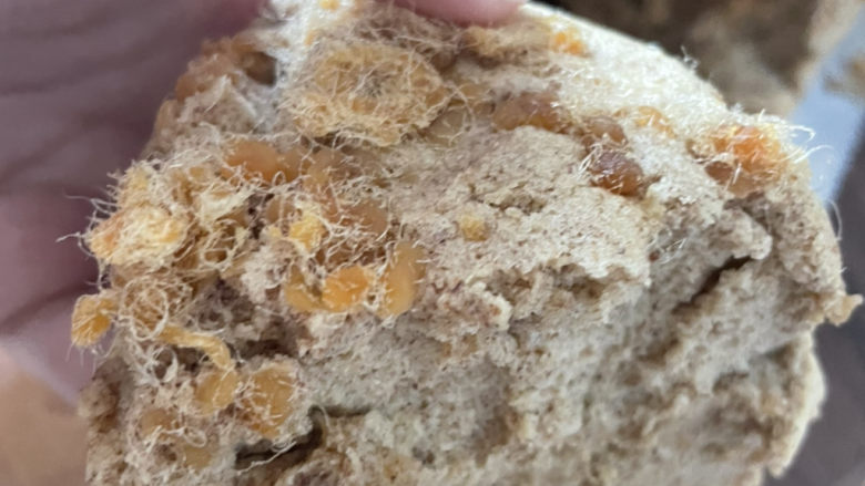 杂粮木糖醇电饭煲蛋糕,色香味俱全~软糯香甜~哈哈哈,快来试试吧!