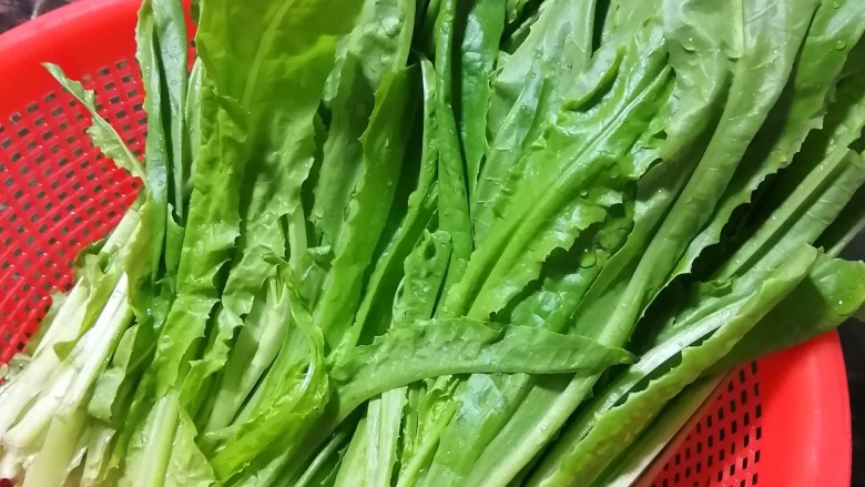 清炒油麦菜。,洗净<a style='color:red;display:inline-block;' href='/shicai/ 155'>油麦菜</a>