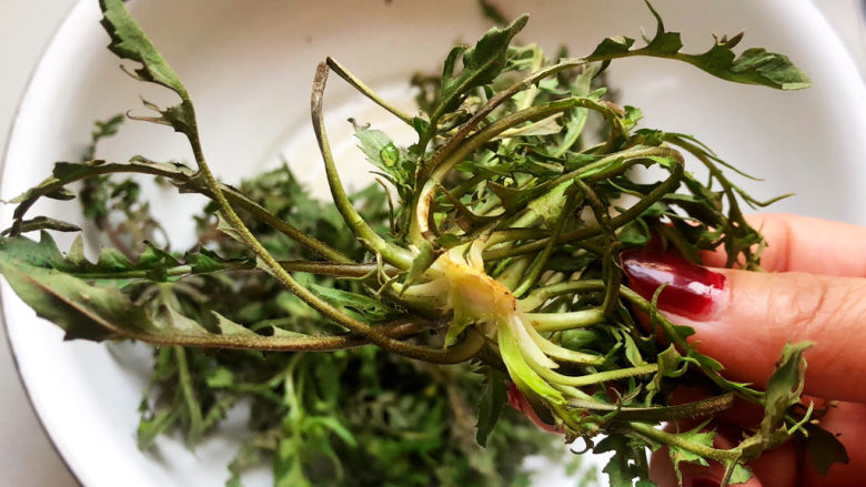 荠菜拌香干,<a style='color:red;display:inline-block;' href='/shicai/ 126'>荠菜</a>需要摘去黄叶,用小刀刮去根部的泥土。