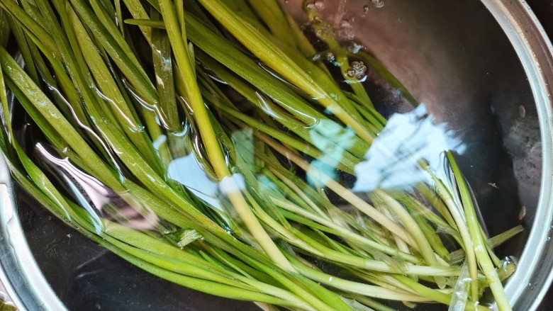 韭菜炒粉丝,韭菜去除老叶片,挑嫩的洗净捞出