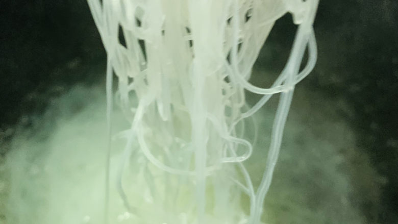 韭菜炒粉丝,这时,锅烧热水,加入粉丝,烫软待用